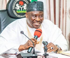 Adamawa Govt to Establish Free Trade Zone, Industrial Park – Daily Trust