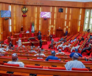 Nigeria’s Senate Seeks to Regulate Crypto Market, Collaborates With SIBAN on Legal Framework