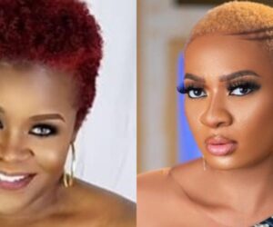 You’re Very Insane – Yinka Theisen Fires Back At May Edochie Over ₦500 Million Lawsuit