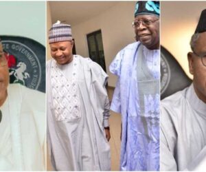Tinubu and Fawehinmi are my leaders not El-Rufai — Kaduna gov, Uba Sani