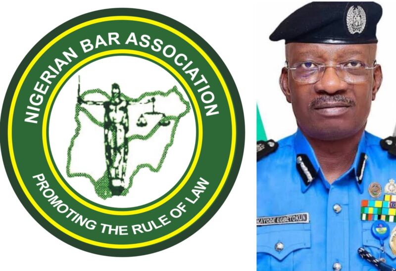 NBA sues IGP Egbetokun over tinted glass permit policy