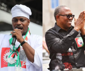I got Peter Obi’s approval to join ADC — Gbadebo Rhodes-Vivour