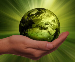 Businesses are planning a major sustainability push in the next few years – but will it pay off?