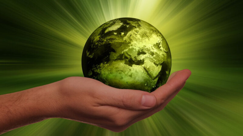 Businesses are planning a major sustainability push in the next few years – but will it pay off?