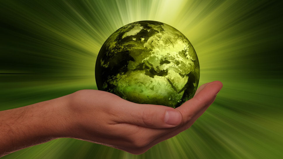 Businesses are planning a major sustainability push in the next few years – but will it pay off?