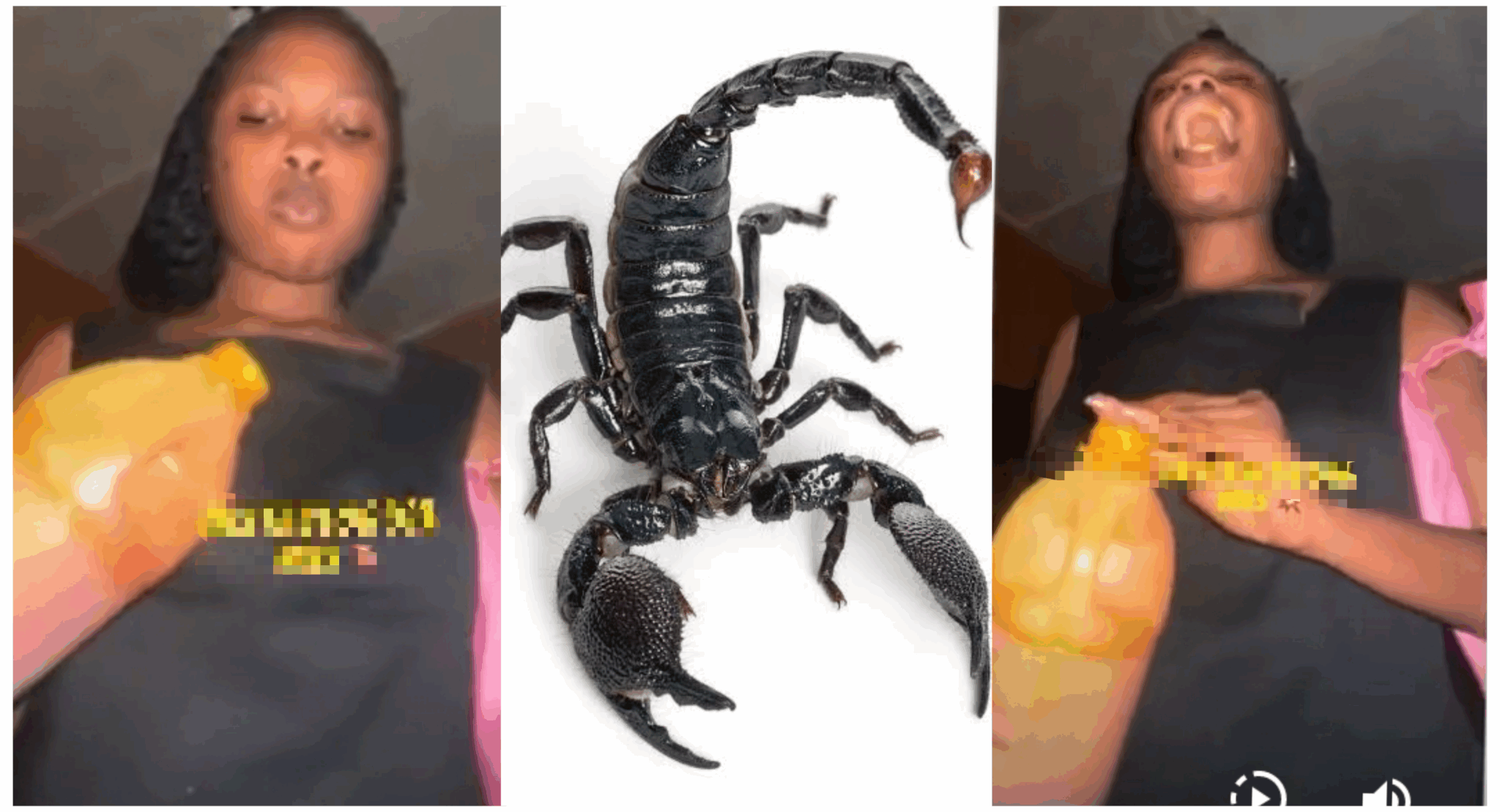 My village people don catch me