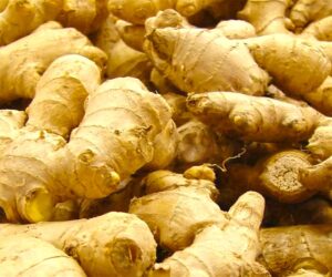 Investing In Ginger Farming For Export