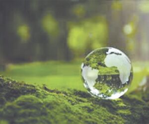 The hidden link between humans and the environment