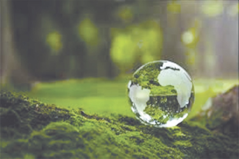 The hidden link between humans and the environment