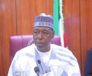 Borno targets 1 million jobs in agriculture, fishing through trans-border trade