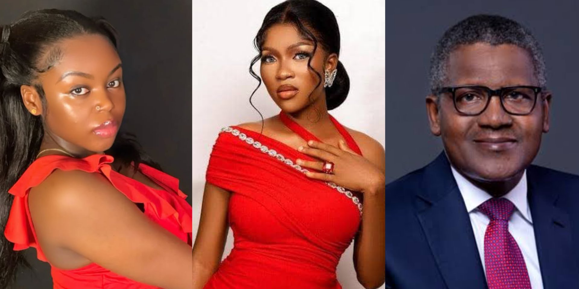 “The least you can do is to train Ruth’s children through school” – Saida Boj tells Dangote