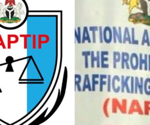 Eight stolen children finally reunited with families after NAPTIP raid