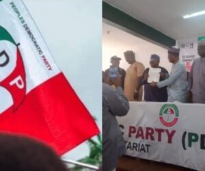 PDP chairman says only coalition can defeat APC in 2027