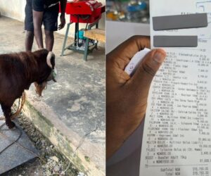 Man shares receipts after spending N316K on medications for goat