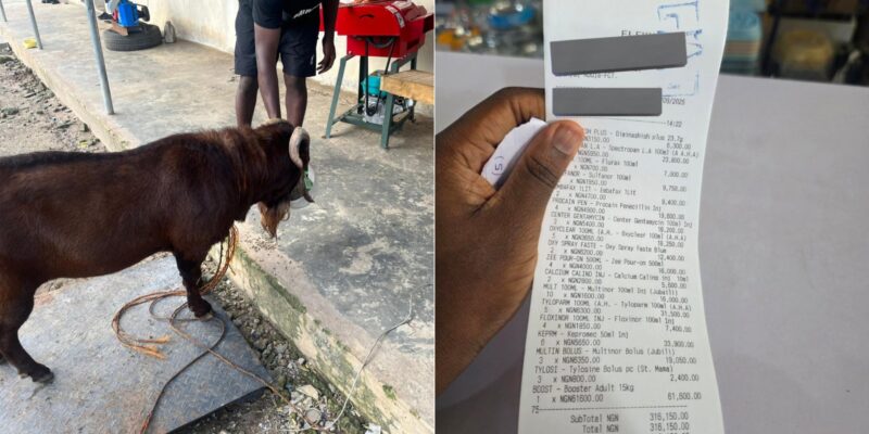 Man shares receipts after spending N316K on medications for goat