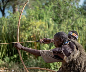 Hunter killed in mysterious circumstances in Adamawa