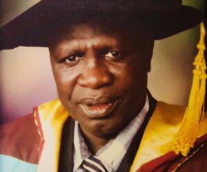 Banditry: How viable is Katsina state’s systematic peace accord?