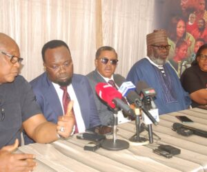 Nollywood Blockbuster, Nene, Set For September 28 Premiere in Abuja – Independent Newspaper Nigeria