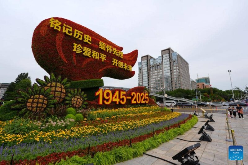 World Must Learn From WWII, Says Chinese Scholar  