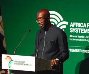 African Youths Urged To Lead Global Agricultural Revolution – Independent Newspaper Nigeria