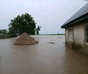 Taraba communities submerged – Daily Trust