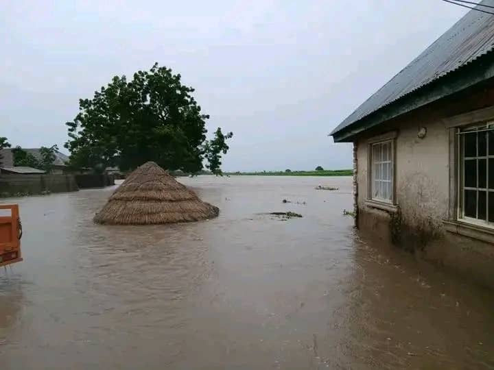 Taraba communities submerged – Daily Trust