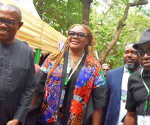 Nigeria’s Tourism Industry Needs Boosting – Peter Obi – Independent Newspaper Nigeria