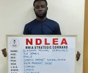 NDLEA Smashes Drug Cartel, Arrests 3 Kingpins, Intercepts N5.3bn Cocaine