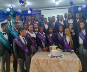 Youths Urged To Shun Negative Use Of AI – Independent Newspaper Nigeria