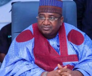 Kebbi: Why healthcare must be judged beyond sensationalism