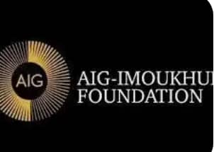 ‎Aig-Imoukhuede Foundation Unveils Capacity Programme For Public Planners‎ – Independent Newspaper Nigeria