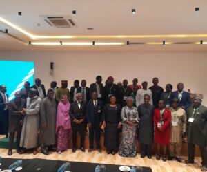Personnel Audit, Skills Gap Analysis Will Enhance Reforms In Federal Civil Service—Walson-Jack – Independent Newspaper Nigeria