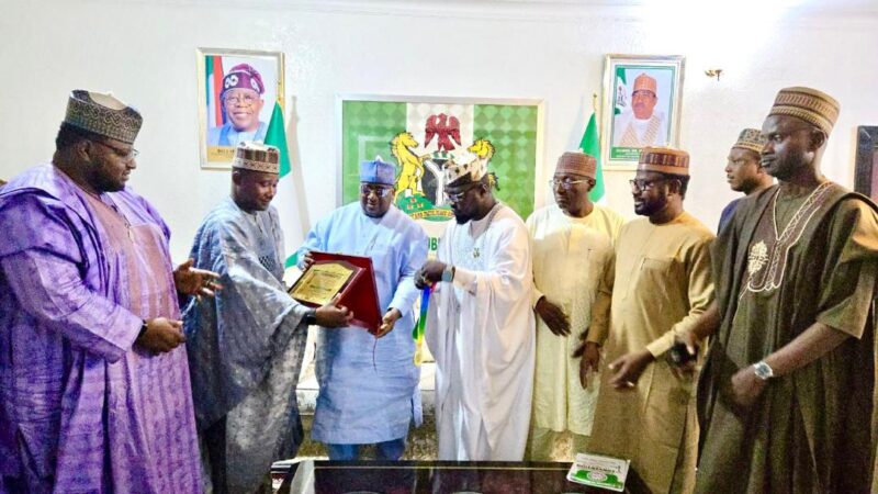 Progressive councilors name Idris best governor of the year