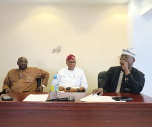 Insecurity Disrupting Tourism, Farming, Investment in Kwara – Dep Senate Leader – Daily Trust