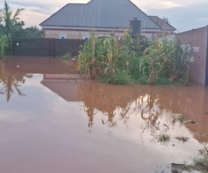 11 States may experience heavy rain this week – FG – Daily Trust