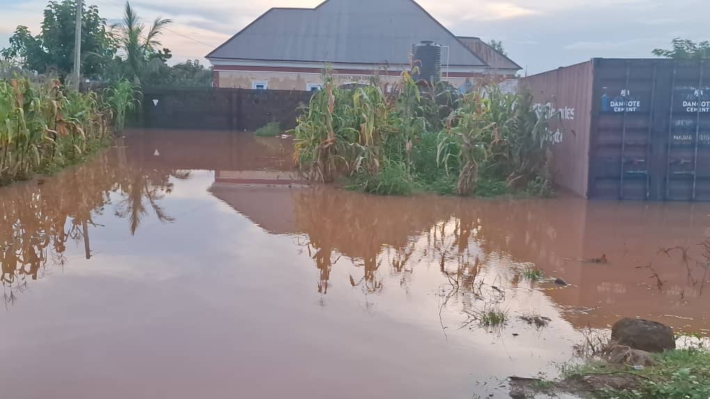 11 States may experience heavy rain this week – FG – Daily Trust
