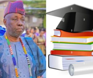 Prof Wande Abimbola Leads Boiling Point Discourse On State Of Nigeria’s Varsities Tonight – Independent Newspaper Nigeria