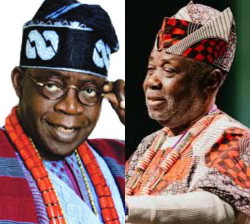 Save Universities, Professors’ Monthly Pay Is What My Gardener Earns In 3 Hours – Prof Abimbola – Independent Newspaper Nigeria
