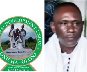 Awards, dance, and tradition: Top dignitaries set to storm Abuja for 2025 Umuolo Iwa Ji Festival