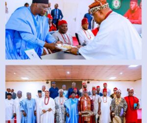 Igbo Community Visits Gov. Fintiri – Daily Trust