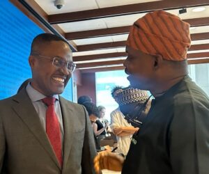 Community Health Workers Are Africa’s Lifelines – Minister Salako Tells AU Taskforce – Independent Newspaper Nigeria