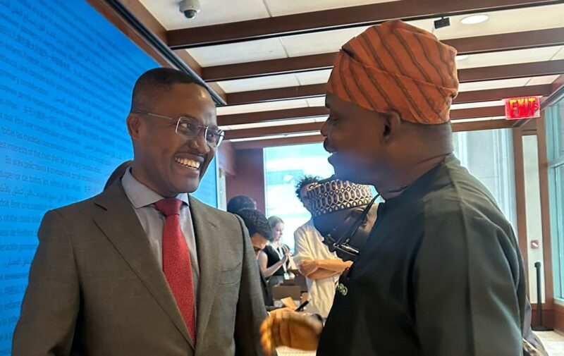 Community Health Workers Are Africa’s Lifelines – Minister Salako Tells AU Taskforce – Independent Newspaper Nigeria