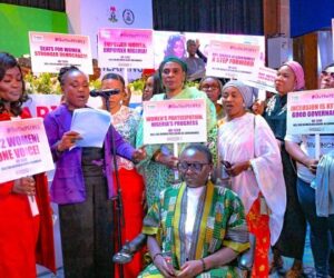 Gender-responsive reform: Emerge Women founder Ikoku pushes for decisive action 