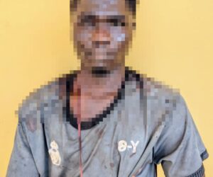 Man stabs grandparents to death over food – Daily Trust
