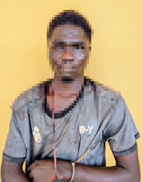 Man stabs grandparents to death over food – Daily Trust
