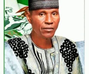 Bauchi Gov Mourns as LG Chair Dies – Daily Trust