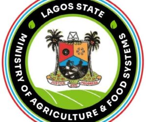 Lagos Registers Farmers Under ‘Produce For Lagos’ Programme  