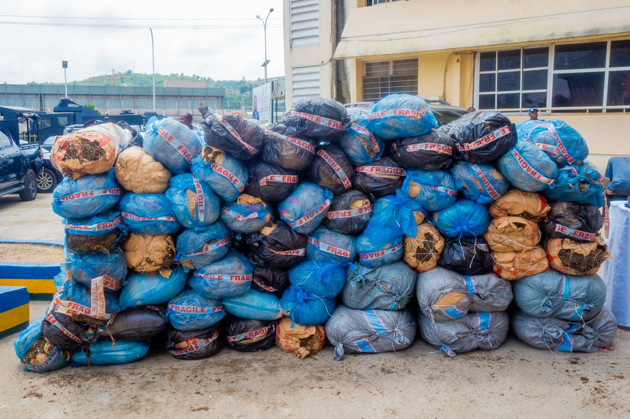 FCT Police nab 11 drug dealers, recover 68 bags of cannabis