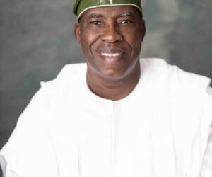 Let’s Be Hopeful, Babayemi Tells Nigerians – Independent Newspaper Nigeria