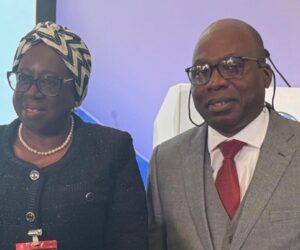 Tackle cross-border crimes now, FIRS chairperson tells global leaders at UK summit